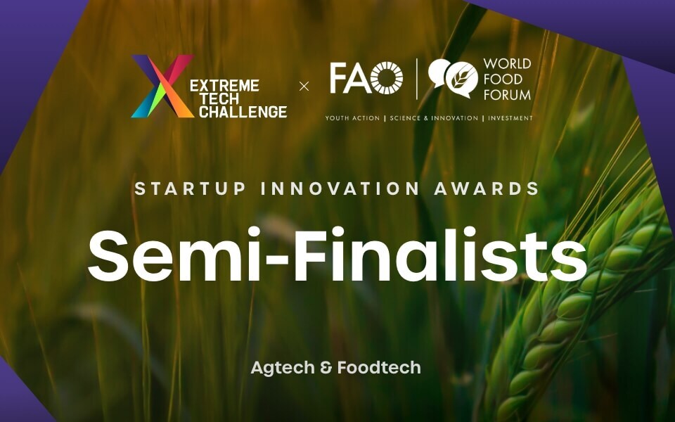 green wheat field background with text on top that reads: semi finalists for the startup innovation awards in agtech and foodtech. featuring XTC and WFF logos. 