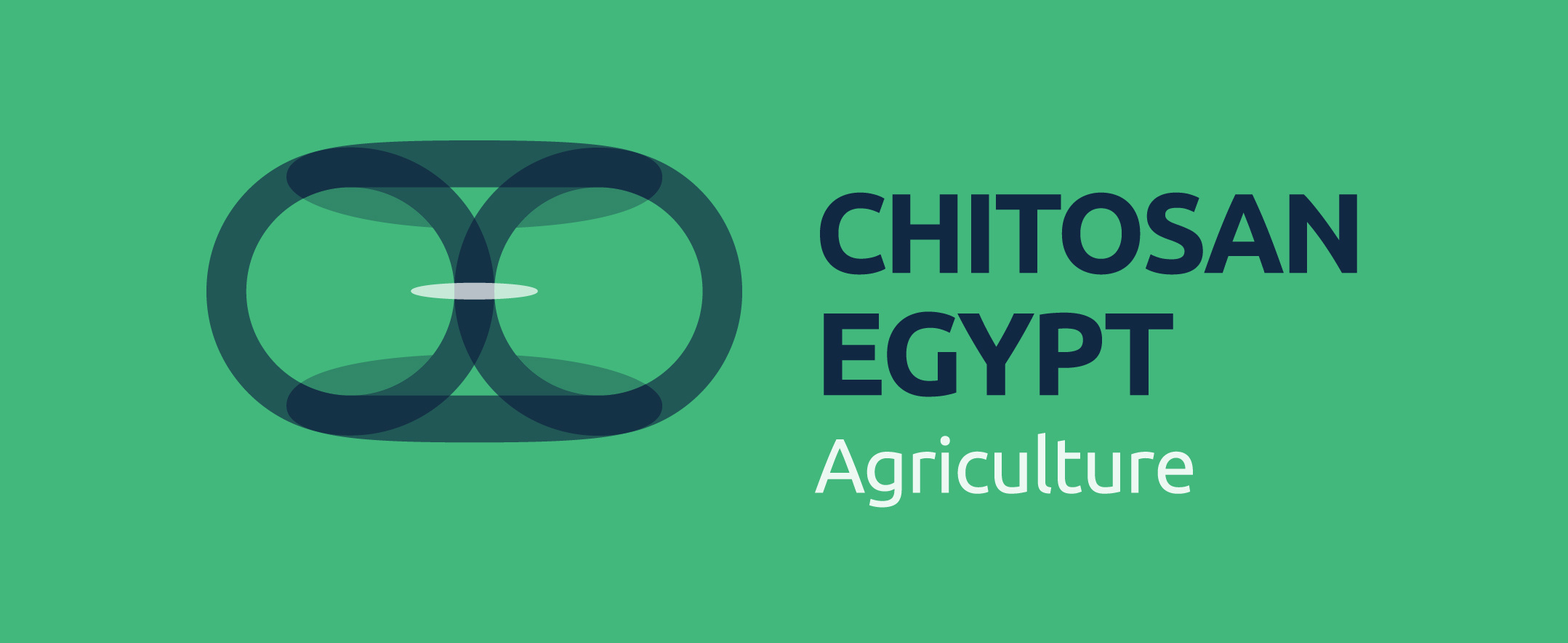 Chitosan Egypt
